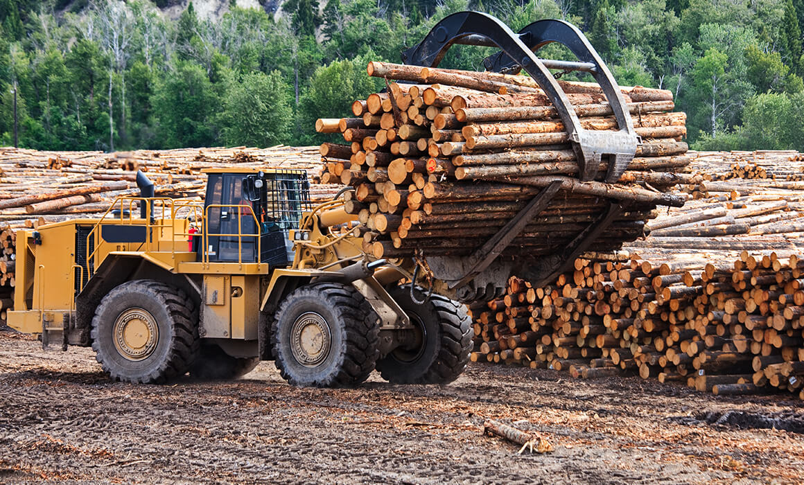 frontloader moving lumber